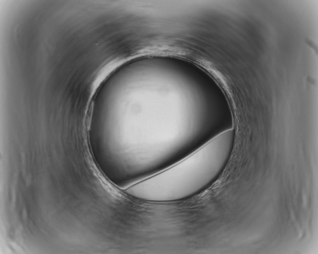 X0000096971344200802080914
