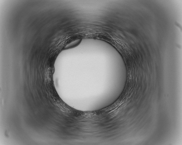 X0000096971346200802080914