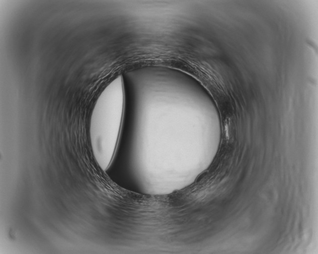 X0000096971347200802080914