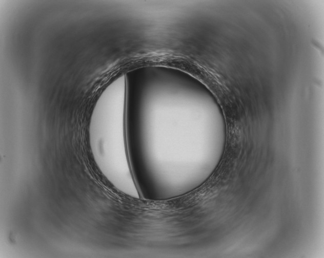 X0000096971349200802080914