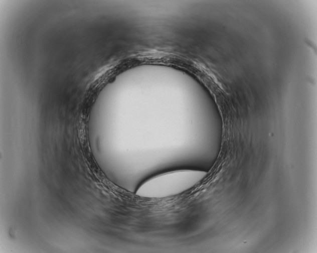 X0000096971350200802080914