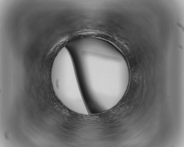 X0000096971351200802080914
