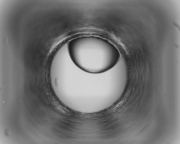 X0000096971352200802080914