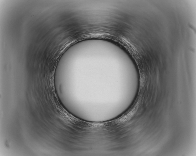 X0000096971353200802080914