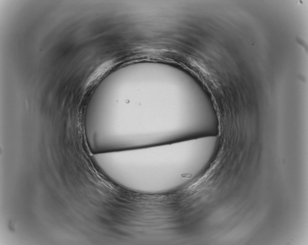 X0000096971354200802080914