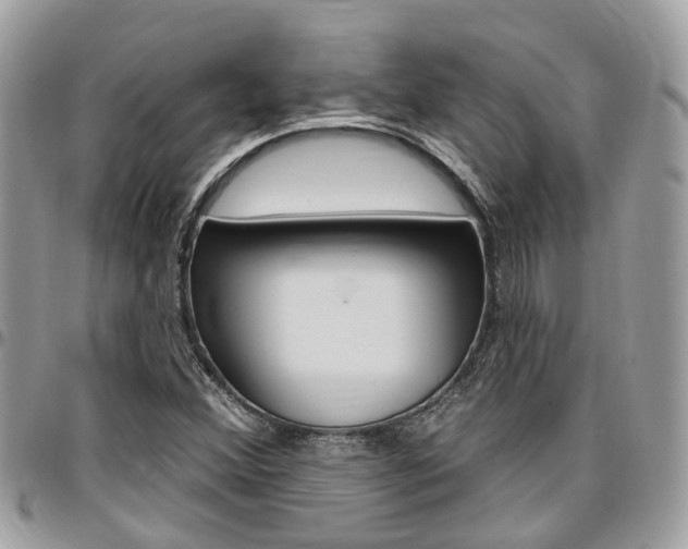 X0000096971356200802080913