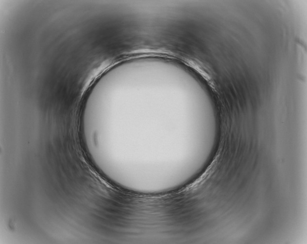 X0000096971357200802080913