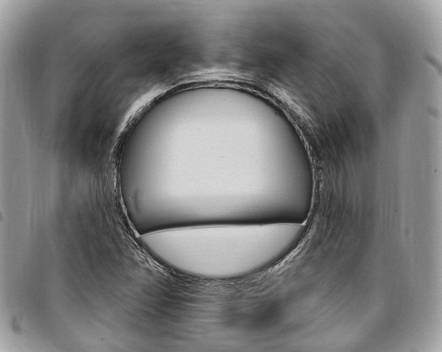 X0000096971358200802080913