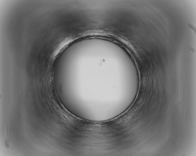 X0000096971359200802080913