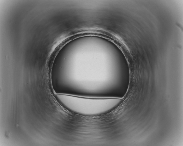 X0000096971360200802080913