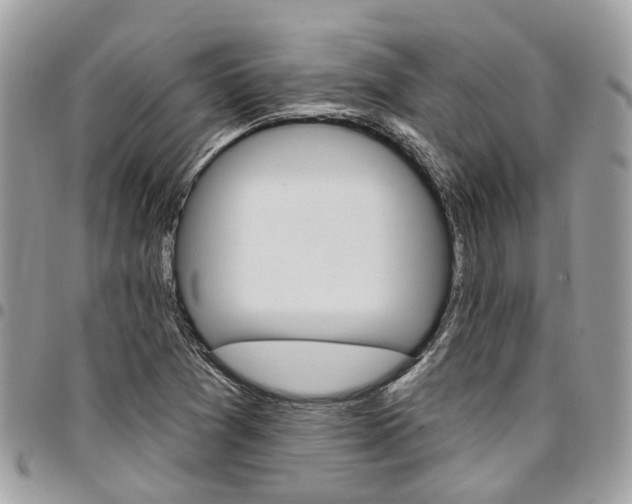 X0000096971361200802080913