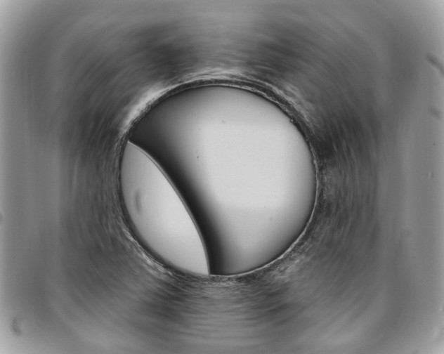 X0000096971363200802080913