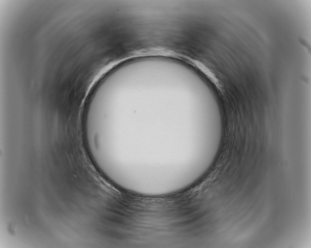 X0000096971364200802080913