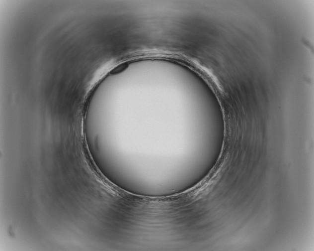 X0000096971365200802080913