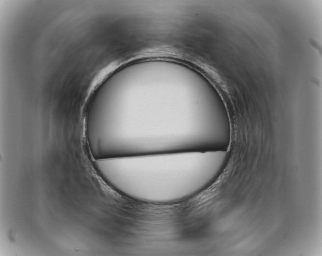 X0000096971366200802080913