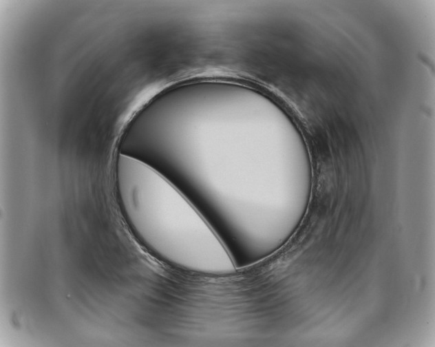 X0000096971367200802080913