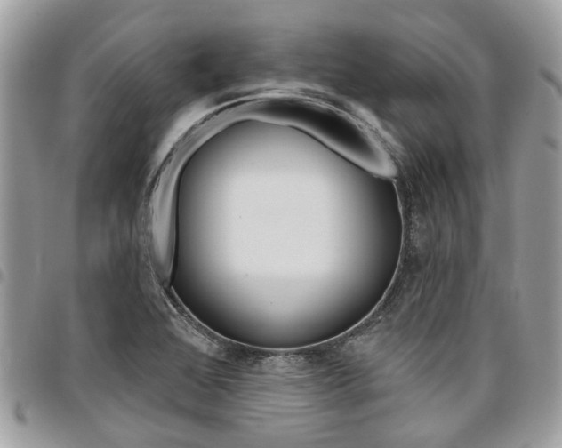X0000096971368200802080913
