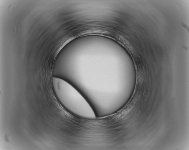 X0000096971369200802080913