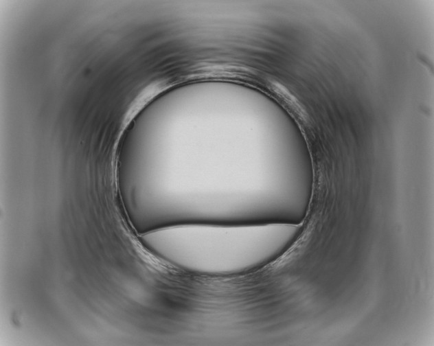 X0000096971370200802080913