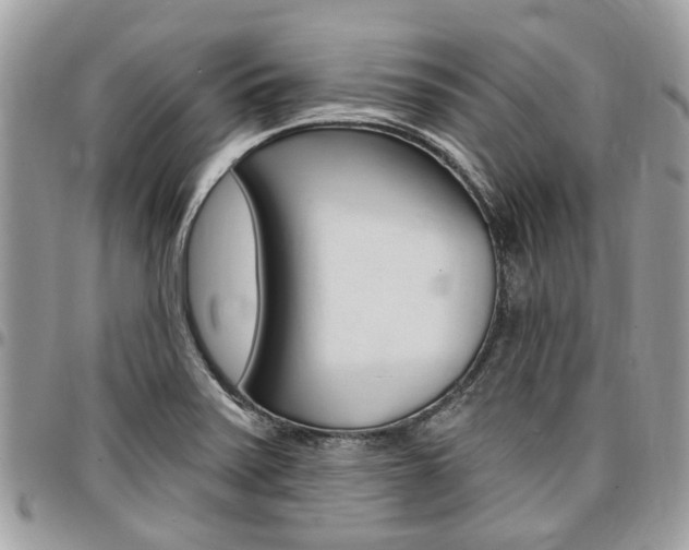 X0000096971371200802080913