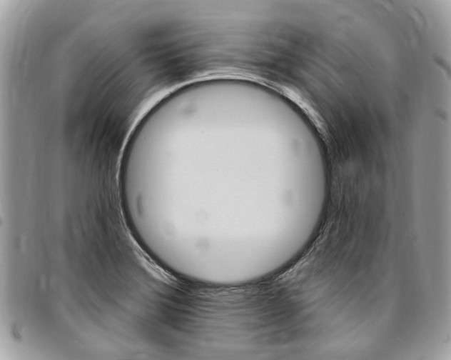 X0000096971372200802080913