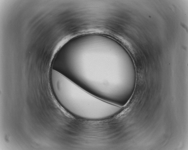 X0000096971373200802080913