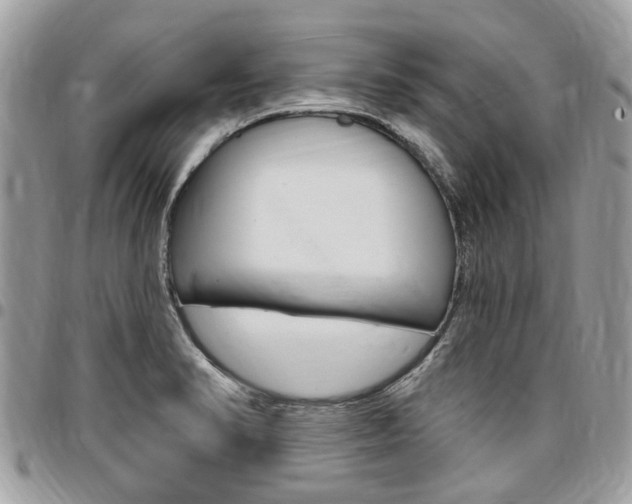 X0000096971374200802080913