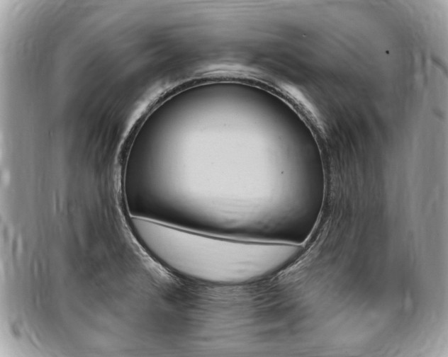 X0000096971376200802080913
