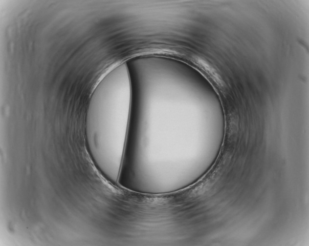 X0000096971377200802080913