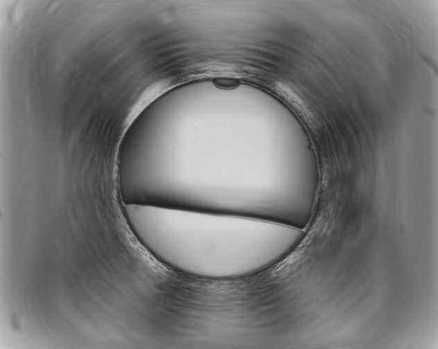 X0000096971378200802080913