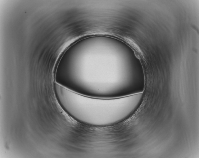 X0000096971380200802080913