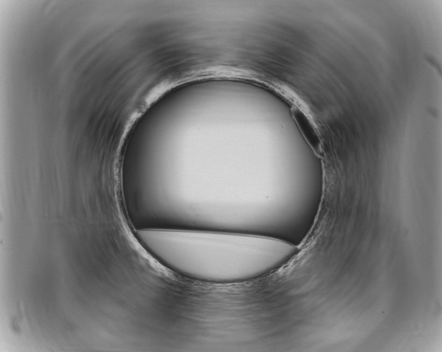 X0000096971381200802080913