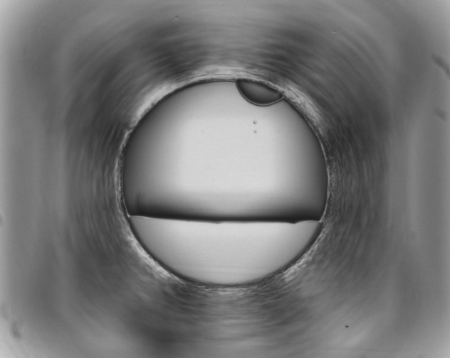 X0000096971382200802080913