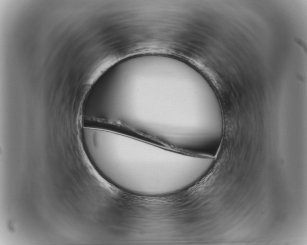 X0000096971383200802080913