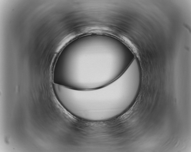 X0000096971384200802080913