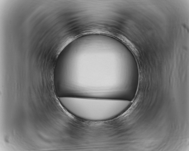 X0000096971385200802080913