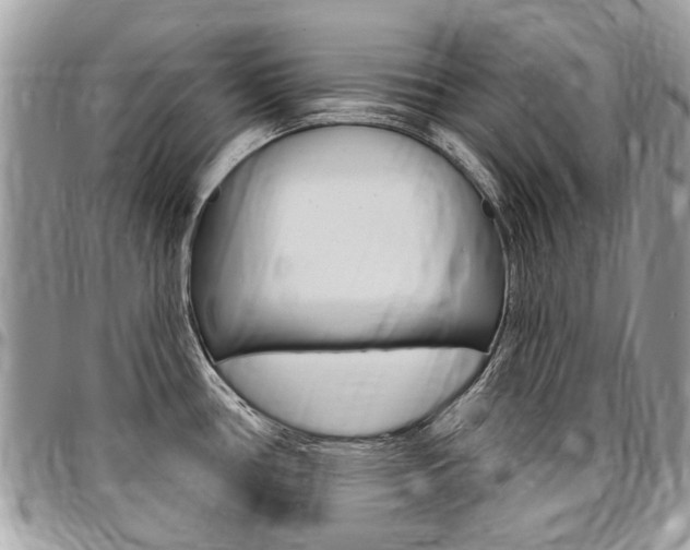 X0000096971386200802080913