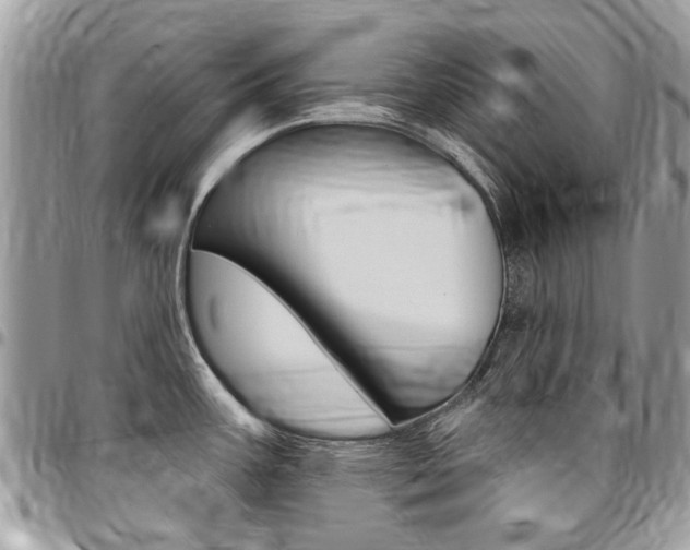 X0000096971387200802080913
