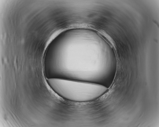 X0000096971389200802080913