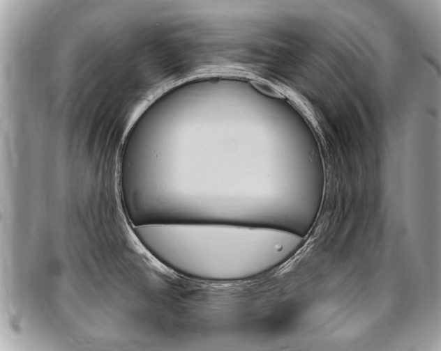 X0000096971390200802080913