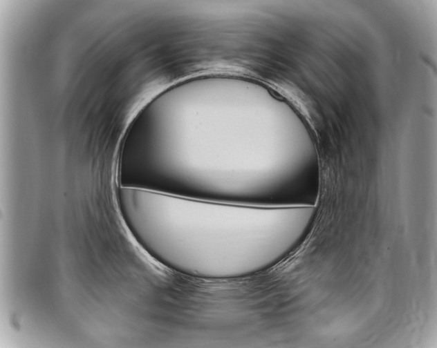 X0000096971391200802080913