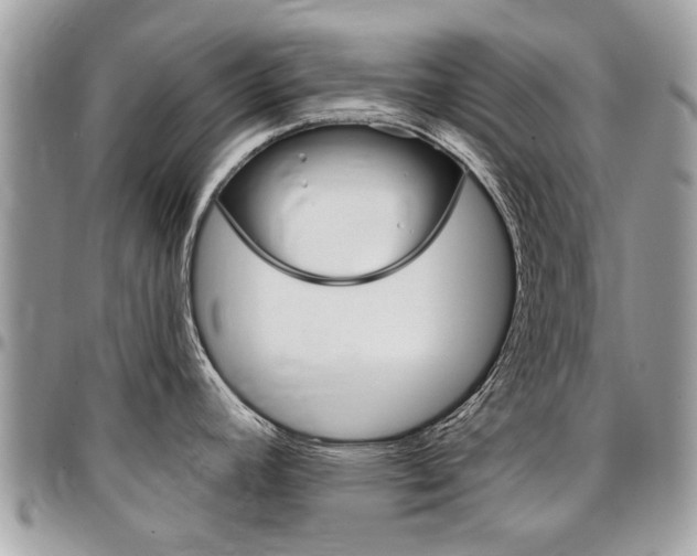 X0000096971392200802080913