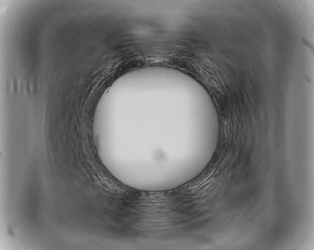 X0000096971393200802080912