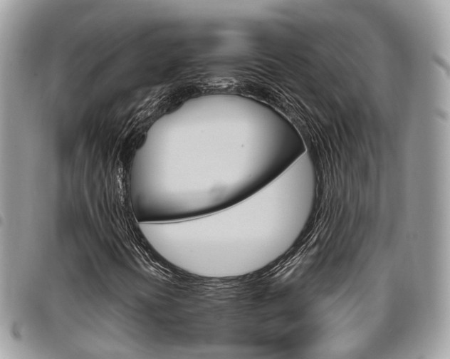 X0000096971394200802080912