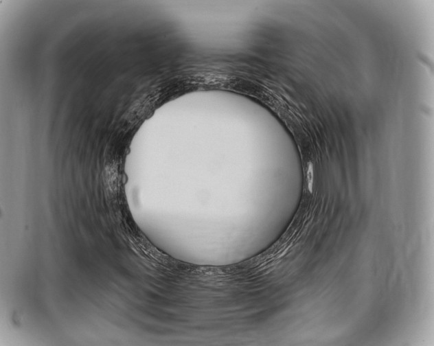 X0000096971395200802080912