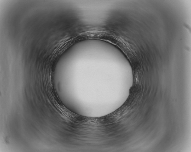 X0000096971396200802080912