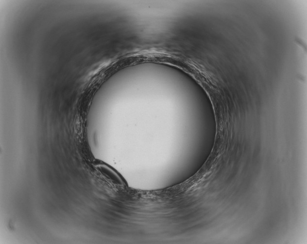 X0000096971398200802080912
