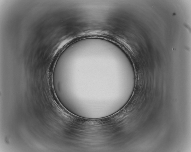 X0000096971404200802080912