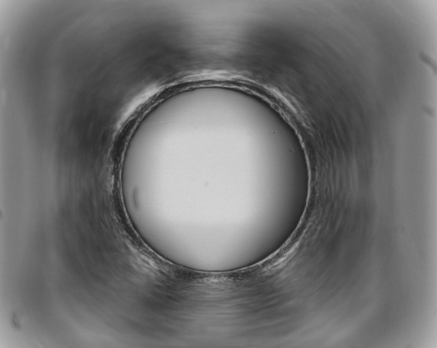 X0000096971406200802080912