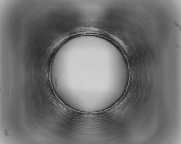 X0000096971407200802080912